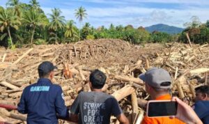 Kayu-Gelondongan-Banjir-Sumatera-1140x641