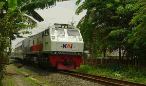 muhammad-arief-4Tk48VSxcjk-unsplash_11zon